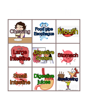 Digestive System Bingo Card