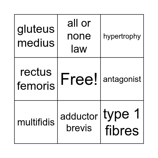 MUSCULAR SYSTEM Bingo Card