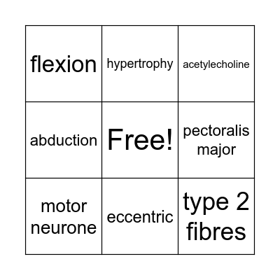 MUSCULAR SYSTEM Bingo Card