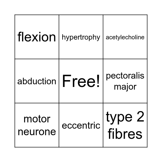 MUSCULAR SYSTEM Bingo Card