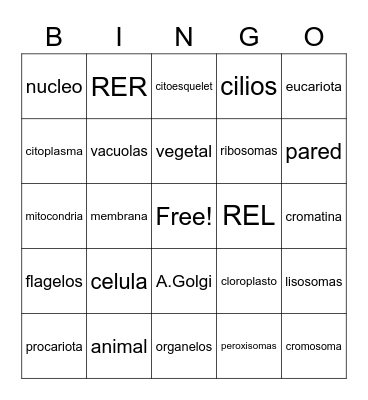 CELULA Bingo Card