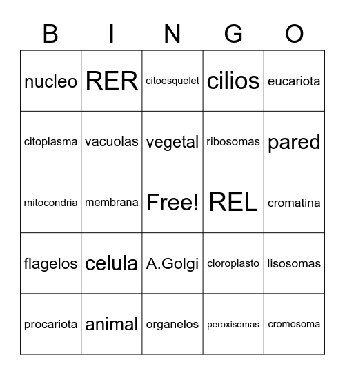 CELULA Bingo Card