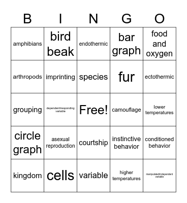 Animal-0 Bingo Card