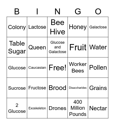 Food Science: Bees, Honey, and Sugar Bingo Card