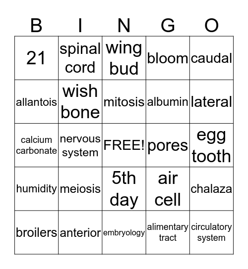 Chicken Review Bingo Card