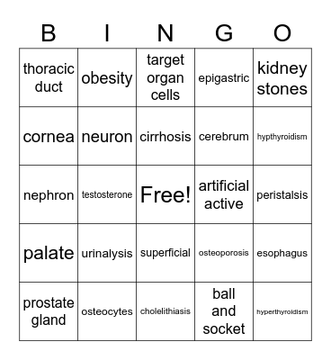 GAME 1 HSI Review Bingo Card