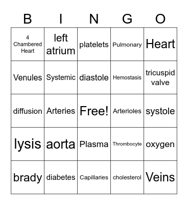 Circulatory System Bingo Card