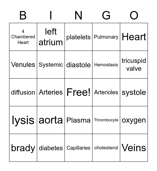 Circulatory System Bingo Card