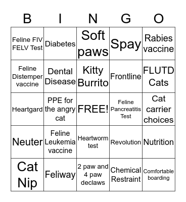 Feline Friendly Bingo Card