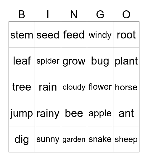 Spelling Bee Words Bingo Card