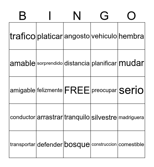 palabras en Espanol Bingo Card