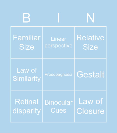 Sensation and Perception II Bingo Card