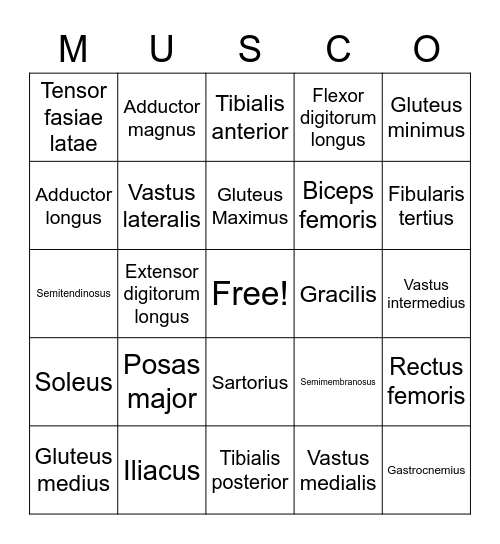 MUSCO #3 Bingo Card