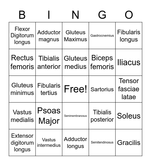 Muscle List #3 Bingo Card