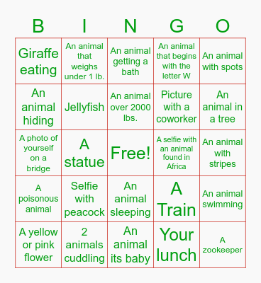 Zoo Photo Bingo Card