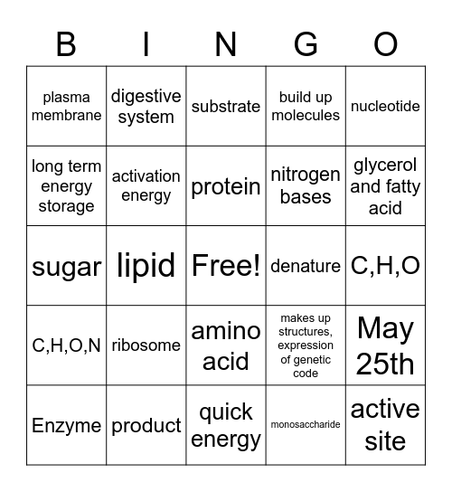 Biomolecules and Enzymes Bingo Card