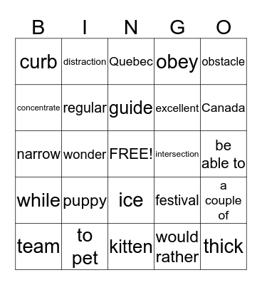 Vocabulary Bingo Card