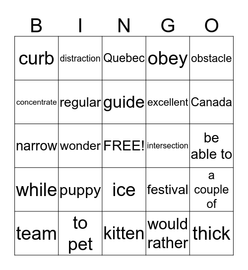 Vocabulary Bingo Card