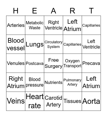 Cardiovascular System Bingo Card