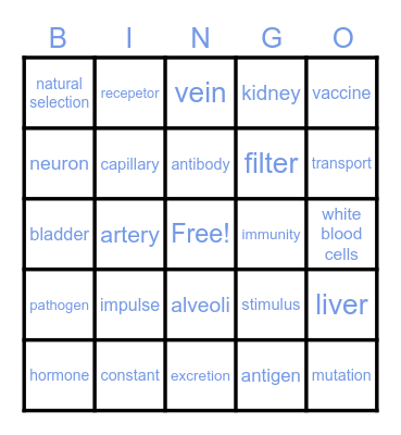 immune system Bingo Card
