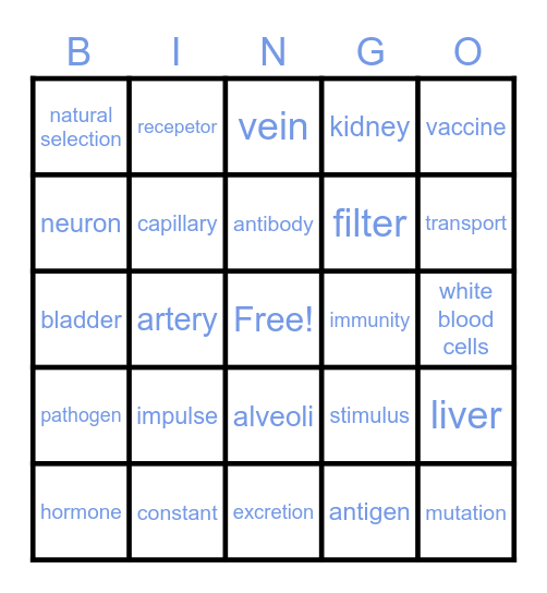 immune system Bingo Card