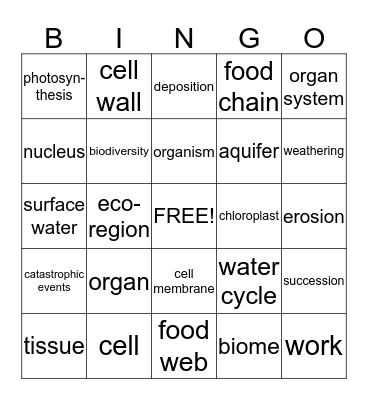 Science Bingo Card