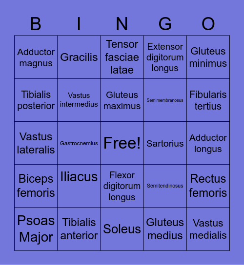 Muscle List #3 Bingo Card