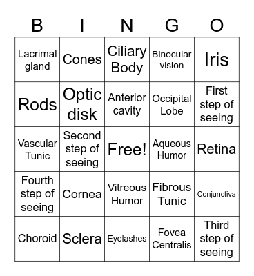 Eye Bingo Card