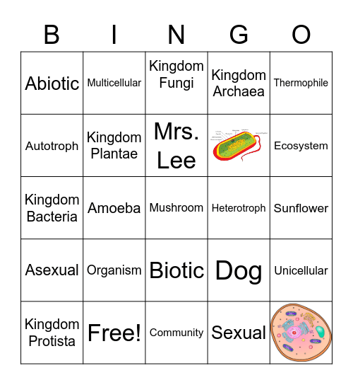 6th Grade Science BINGO Card
