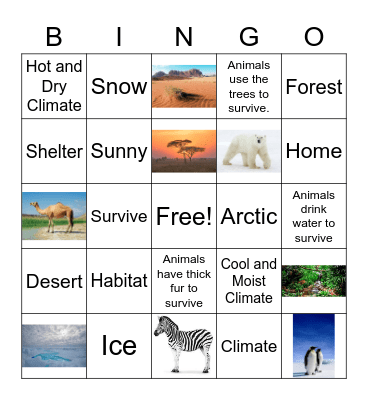 Animal Habitat Vocabulary and More Bingo Card