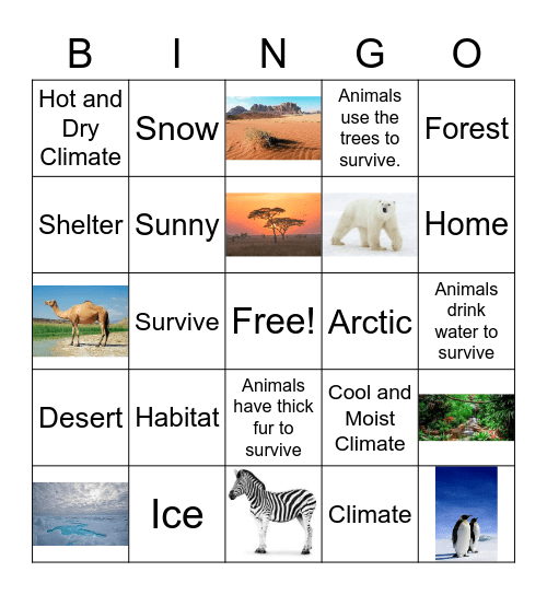 Animal Habitat Vocabulary and More Bingo Card