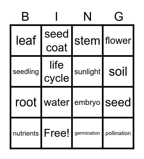 Plant Life Cycle Bingo Card