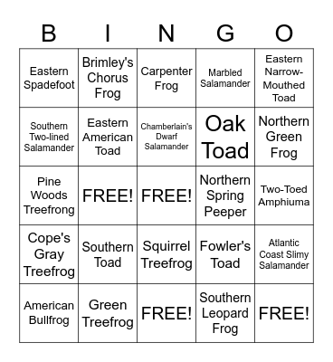 Goose Creek Amphibian BINGO Card
