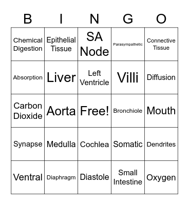 Body Systems Bingo Card