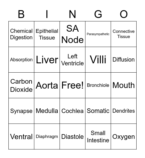 Body Systems Bingo Card
