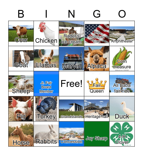 Pickaway County Fair Bingo Card