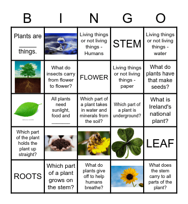 SAUD'S BINGO LINGO ... LIVING THINGS Bingo Card