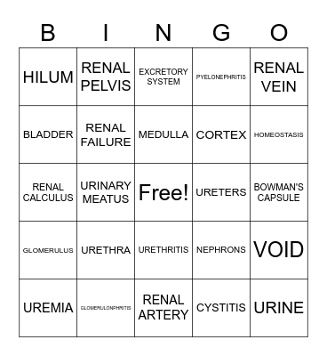 Urinary System Bingo Card