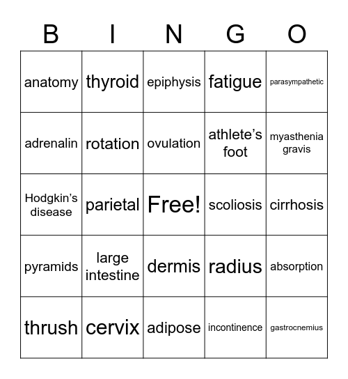 HSI #2 Word List Bingo Card