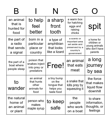 8th Grade LLI Vocab Bingo! Bingo Card