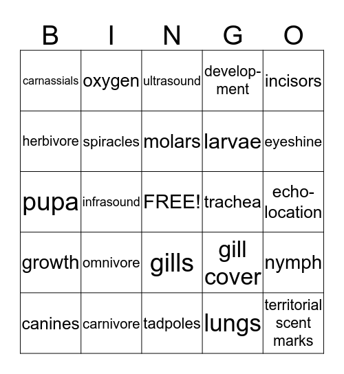 1 animals Bingo Card