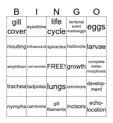 4 animals Bingo Card