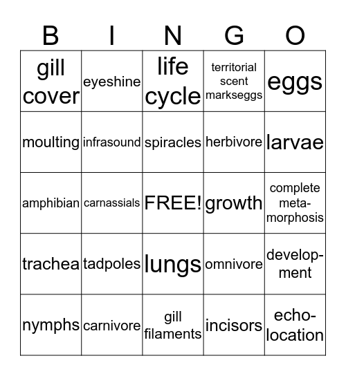 4 animals Bingo Card