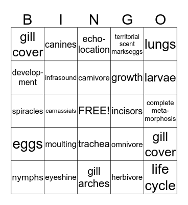 6 animals Bingo Card