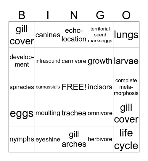 6 animals Bingo Card