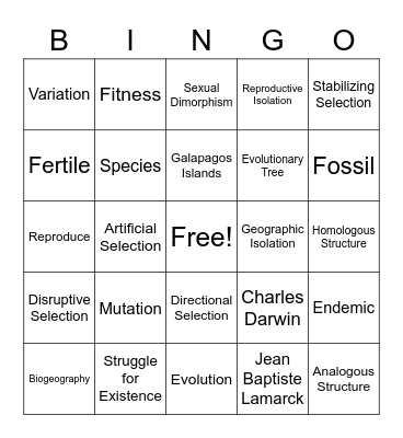 Evolution Bingo Card