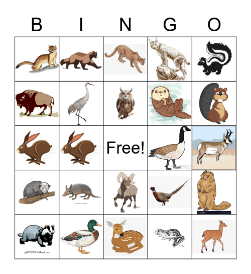 Wildlife Jingo Bingo Card