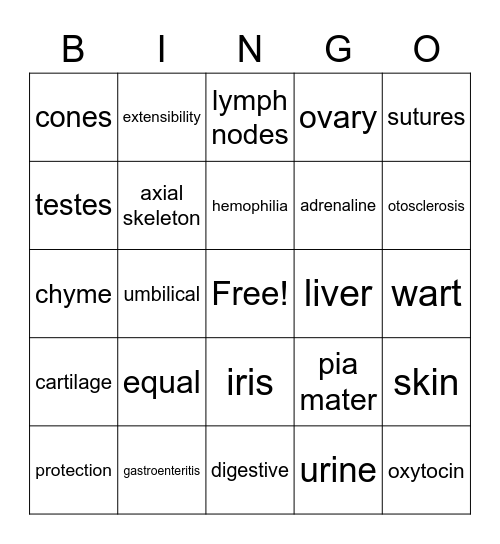 Bingo #5 Bingo Card