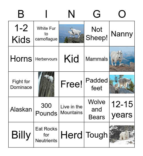 Mountain Goat Bingo Card