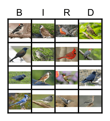 MHSAP IOWA BIRD BINGO Card